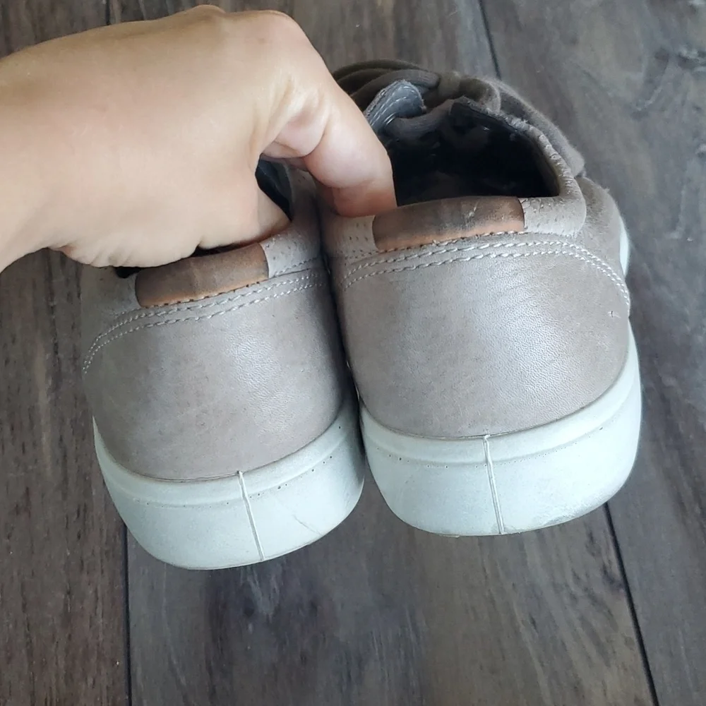 Ecco good s4